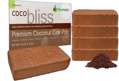 Coco Coir 650gm Bricks (5-Pack) - Organic Coco