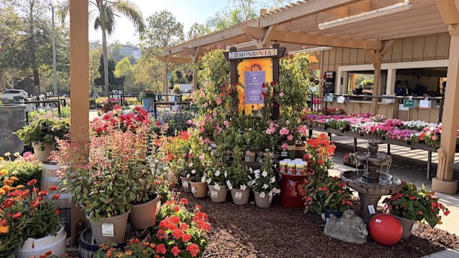 Rows of plants at a garden nursery
