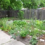 small garden