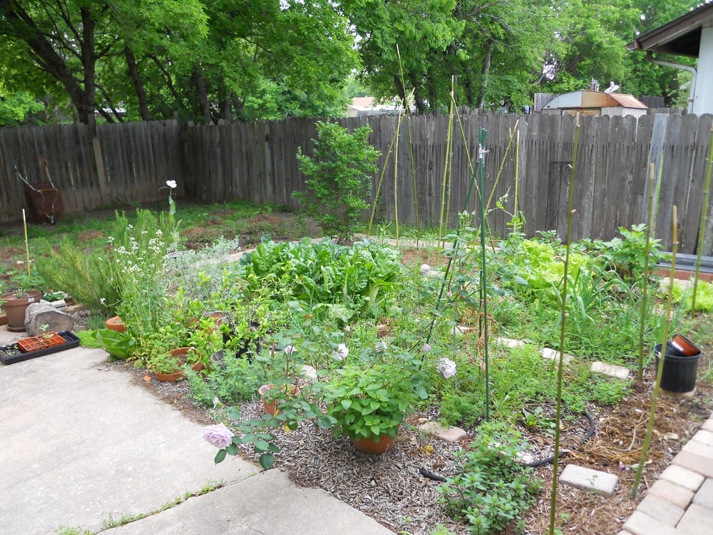small garden