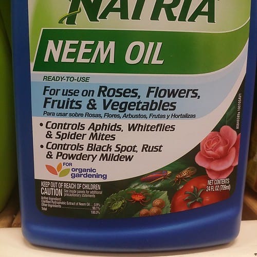 neem oil
