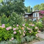 a garden with flowers and trees