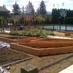 big raised garden layout