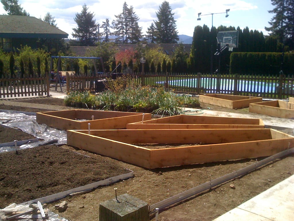 big raised garden layout