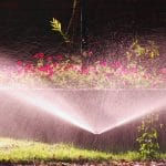 sprinkler watering
