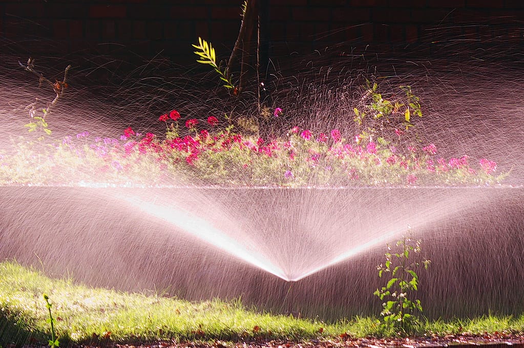 sprinkler watering