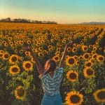 woman facing sunflower filed