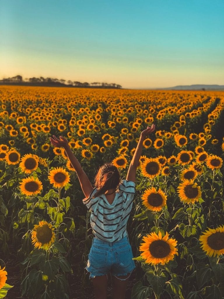 woman facing sunflower filed