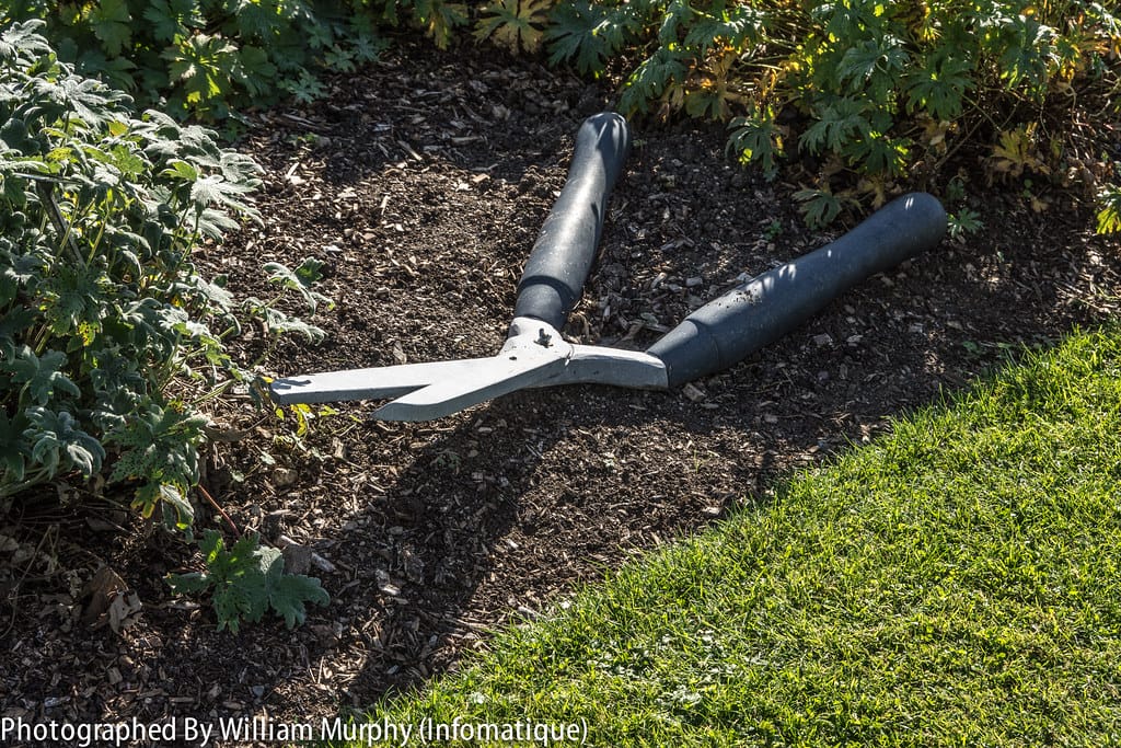 garden shears