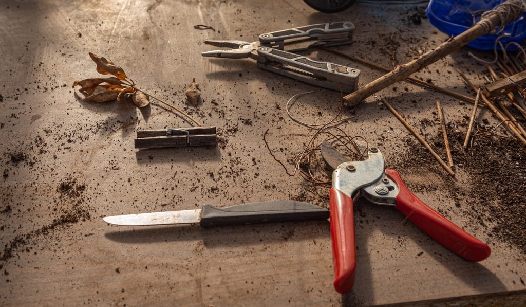 gardening, work table, tool, pruning shears, knife, clutter, wooden table, workshop, work, pruning shears, pruning shears, pruning shears, clutter, clutter, clutter, clutter, clutter, workshop