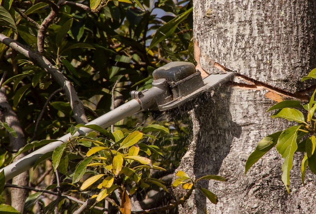 power pole saw