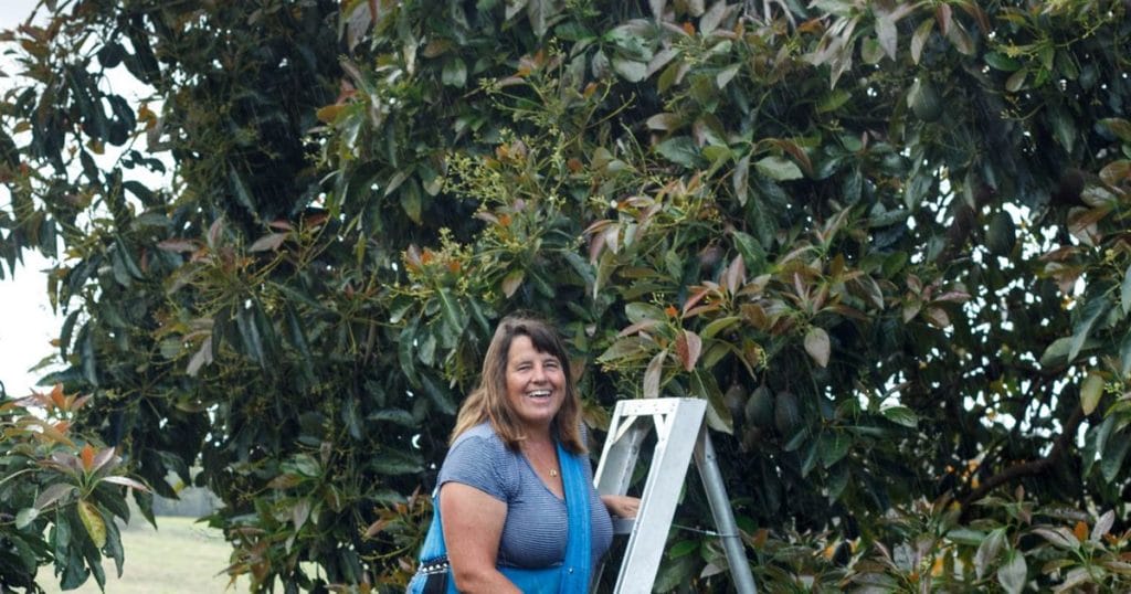 Anne Carter on her farm on a ladder