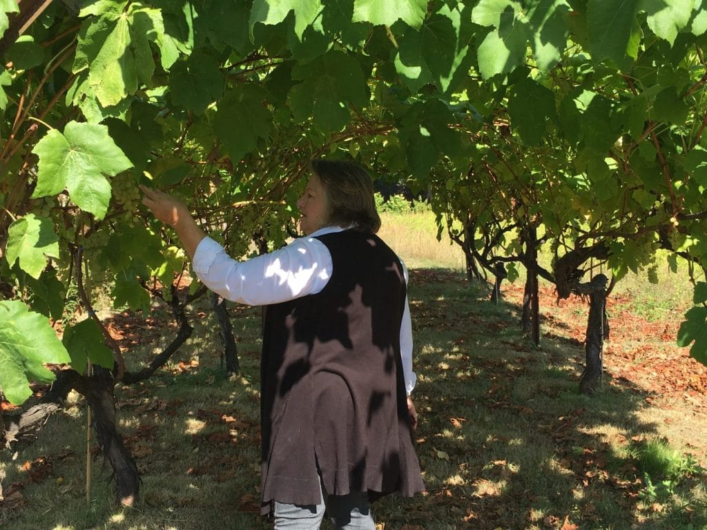 Gabriele Keeler A conservationist at heart