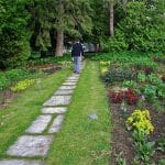 Man waling on a garden path
