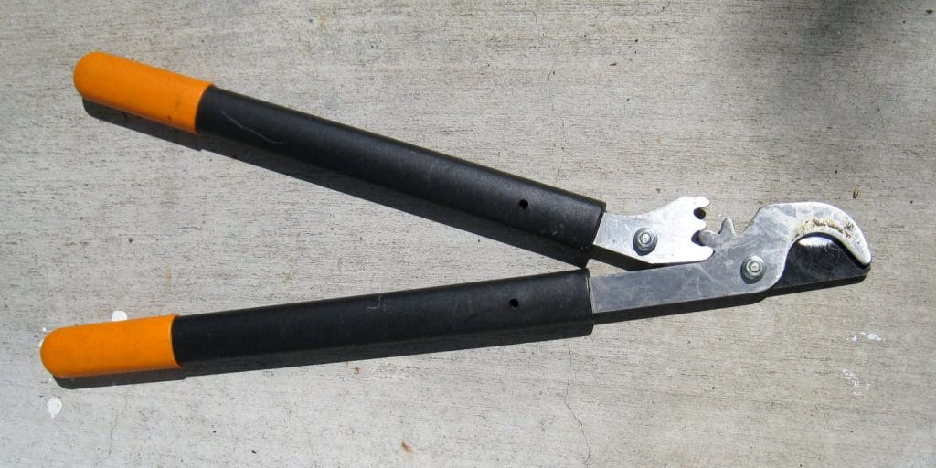 loppers for gardening