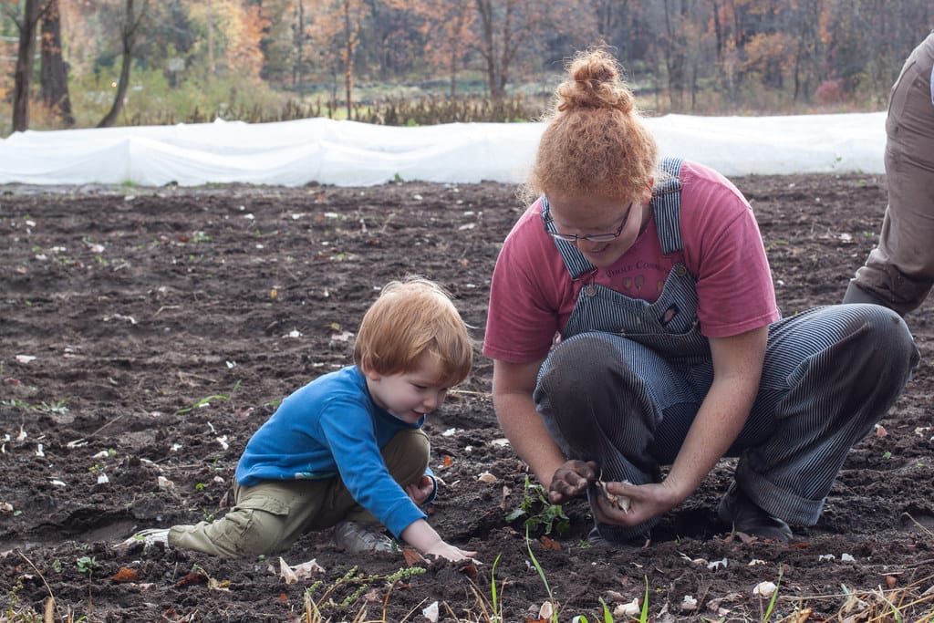 mom shows child how to plant garlic