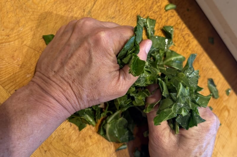 Hands-on garden learning