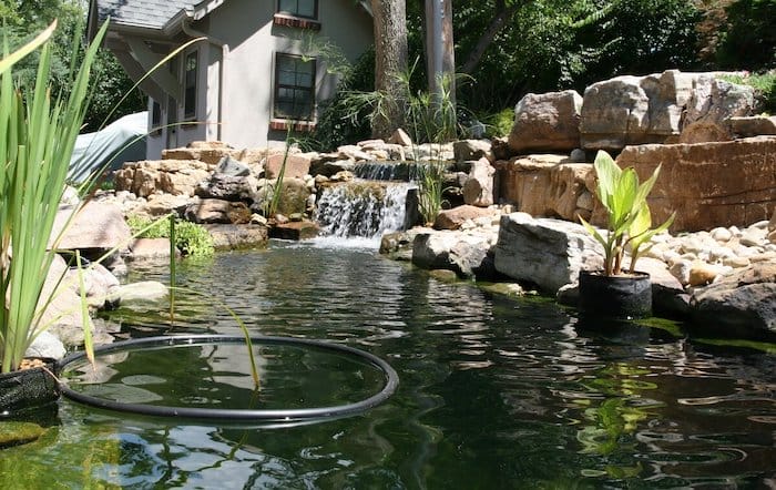 small garden pond