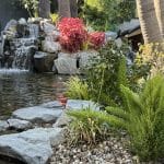 small pond