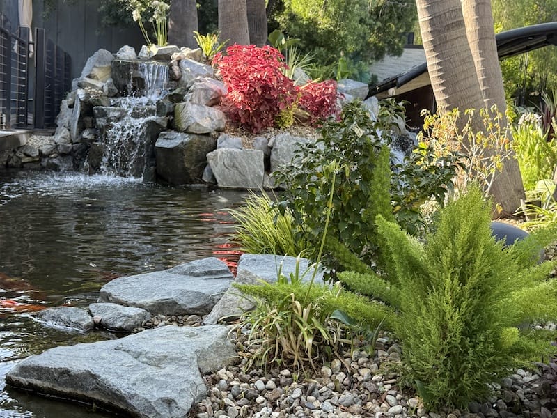 small pond