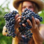 girl holding grapes