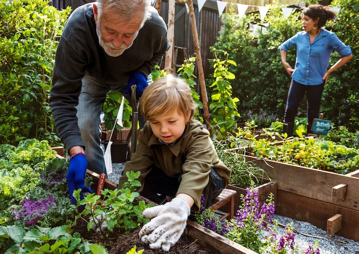 Starting a Garden FAQ