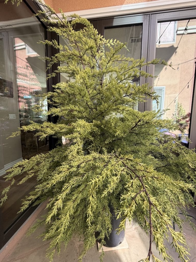 Golden Cypress Christmas Tree