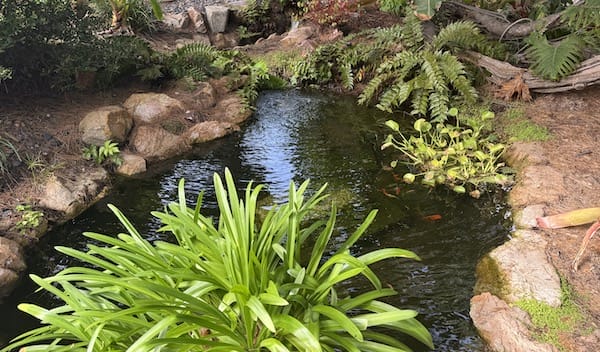 large garden pond