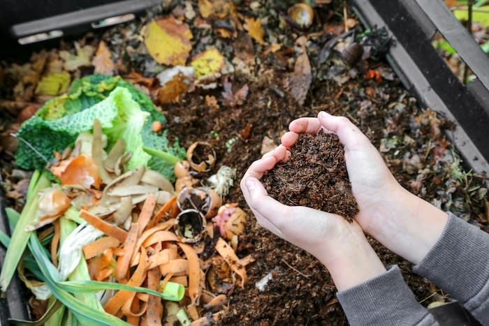 compost