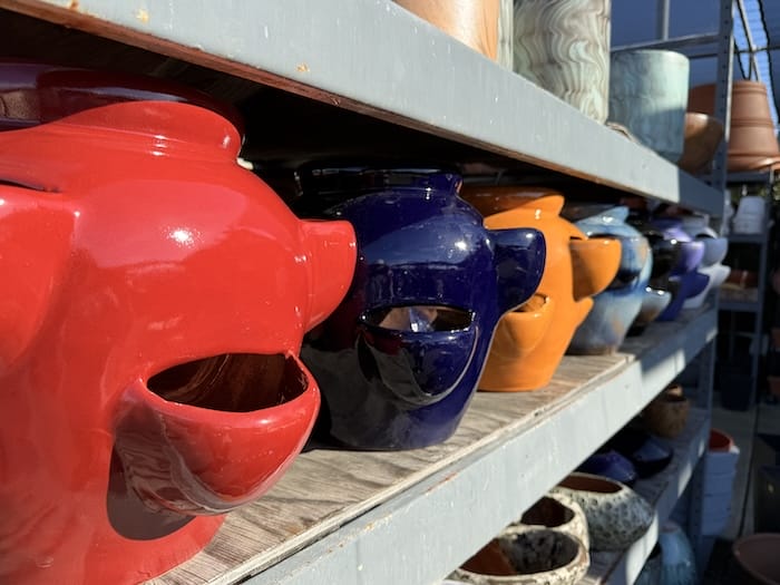 one pot multiple plants