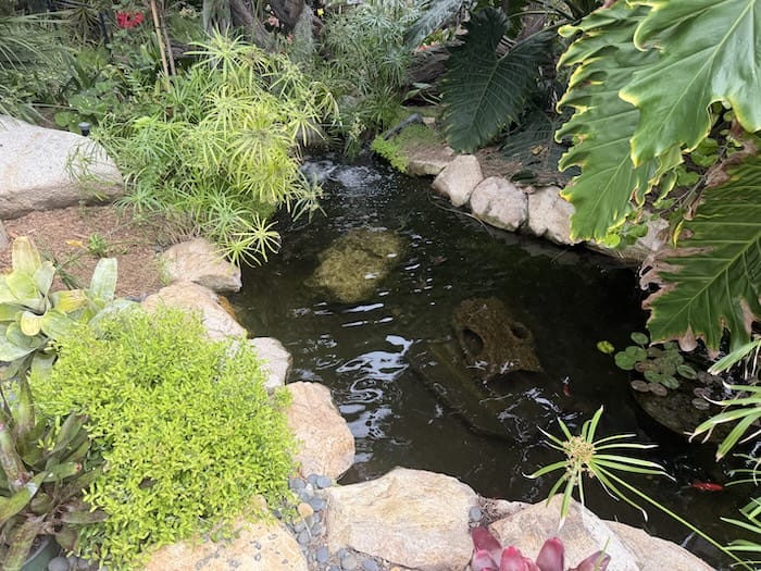 Plan Your Pond With Our Pond Planner