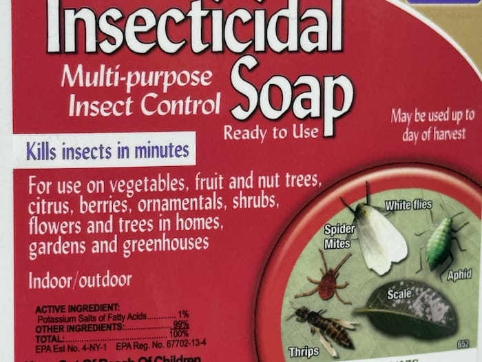 Insecticidal soap for pest control
