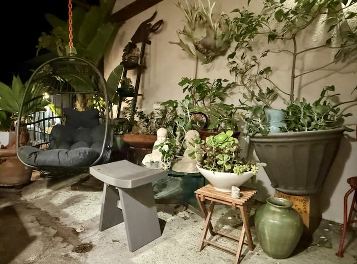 small deck garden succulents