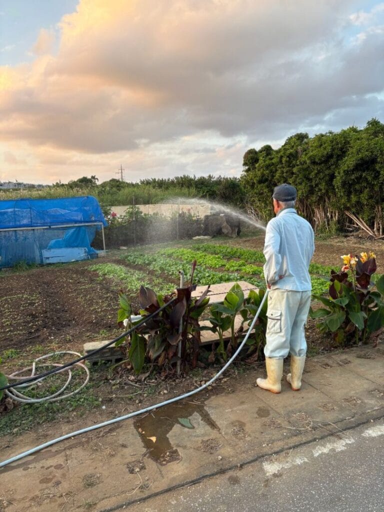 A farmer waters his crops