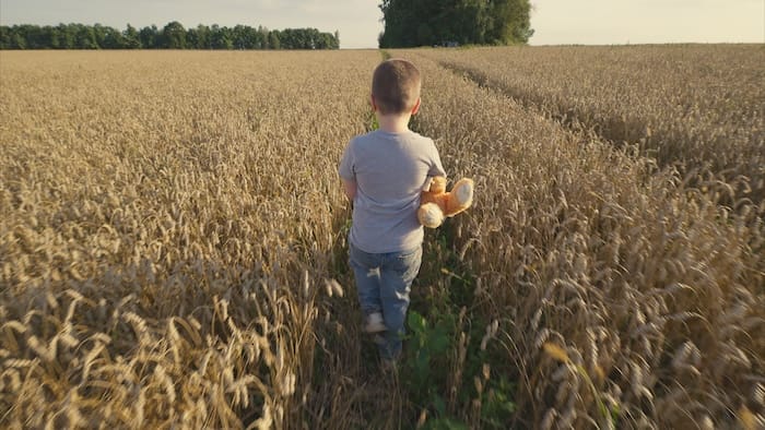 kid in a field growing wheat