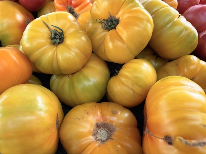yellow heirloom tomatoes