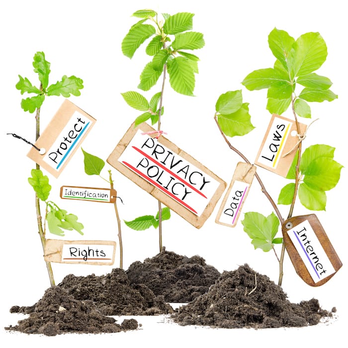 Privacy policy design with plants