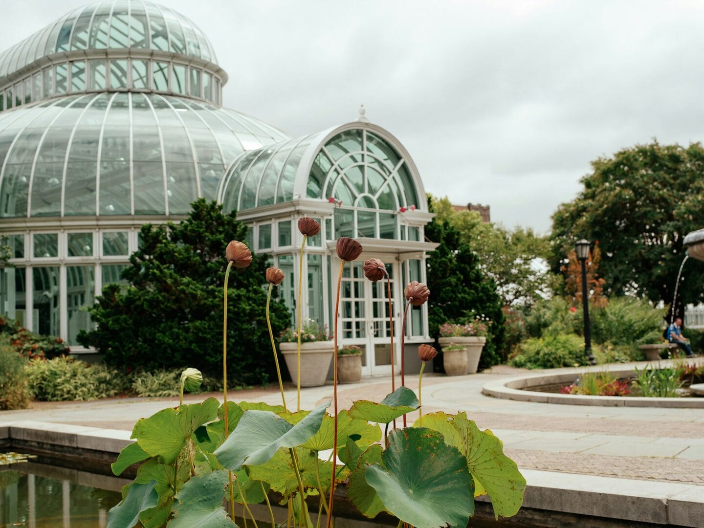 botanical garden