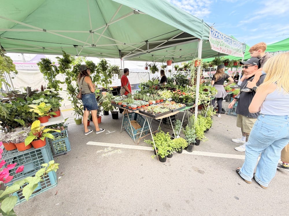 farmers market in carlsbad