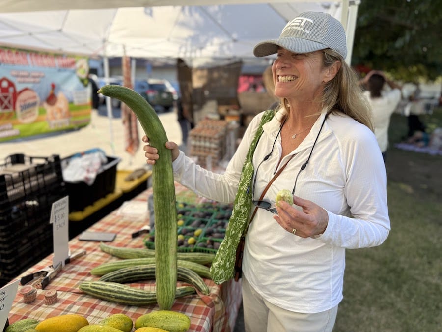 huge cucumber