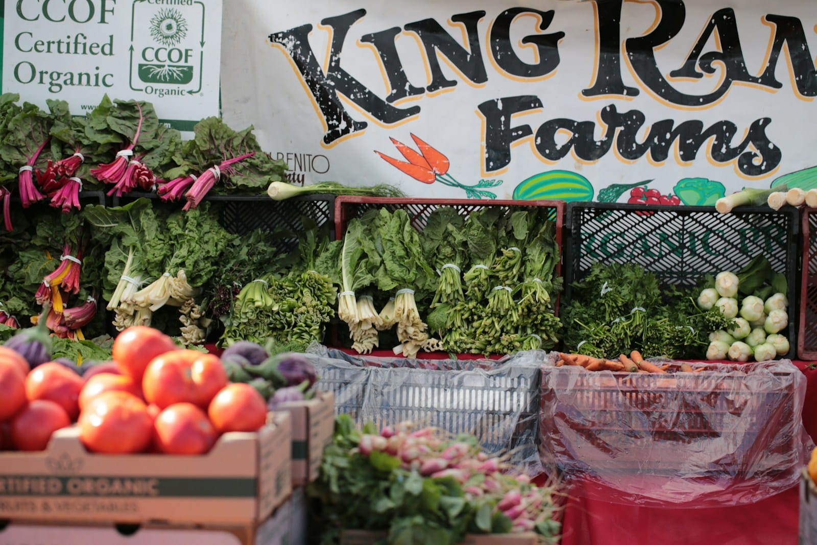 Fresh organic produce displayed at king ranch farms stand.