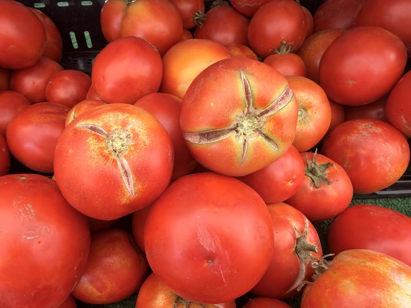 tomato split