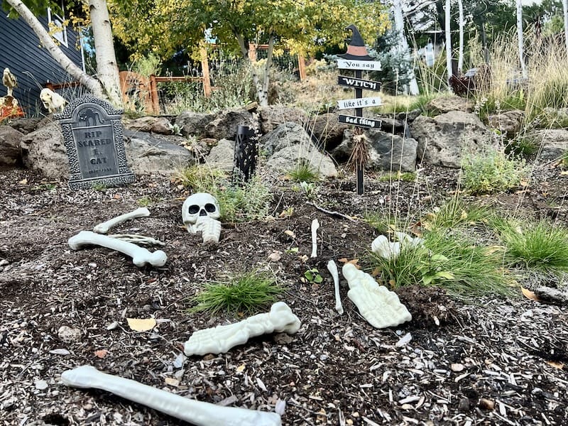 A garden with spooky decorations